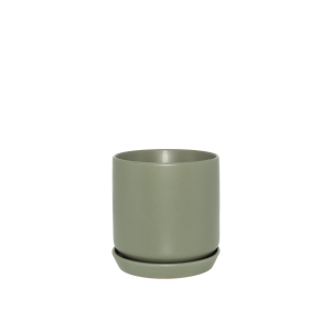 Small Oslo Planter Eucalypt