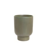 Large Comet Planter Jade