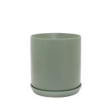 XL Oslo Planter Eucalypt