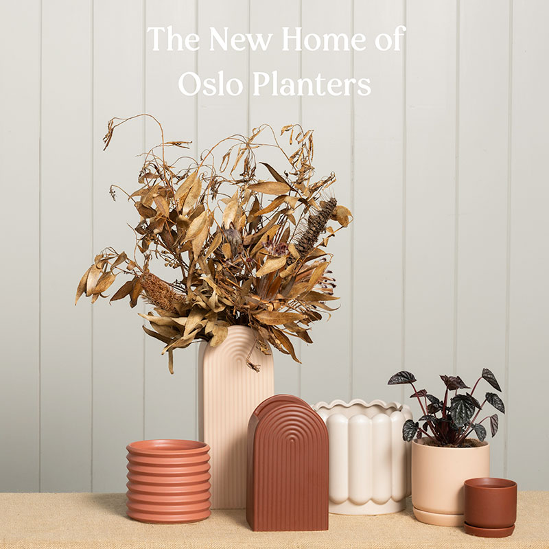 The home of beautiful plant pots