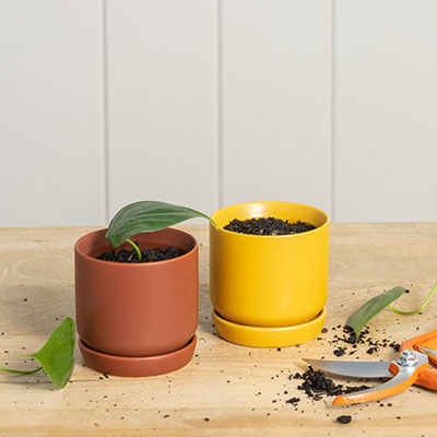 Mini Pots